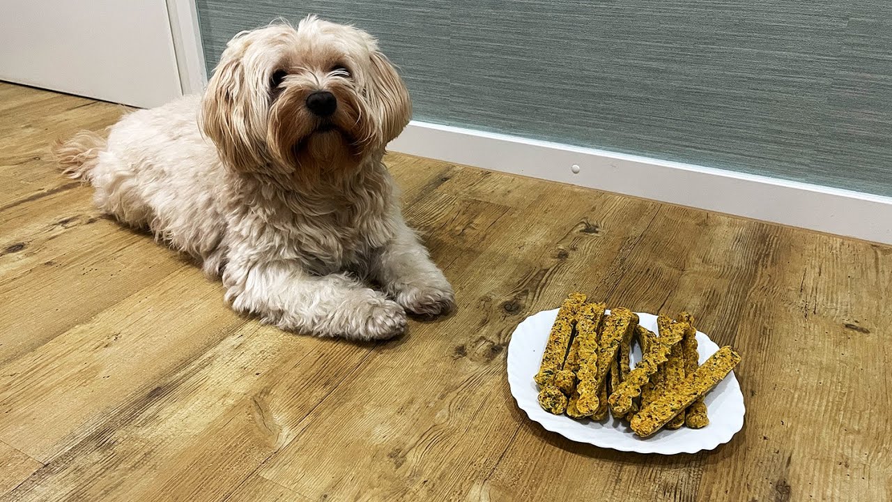 Kaustangen für Hunde, selbstgemacht