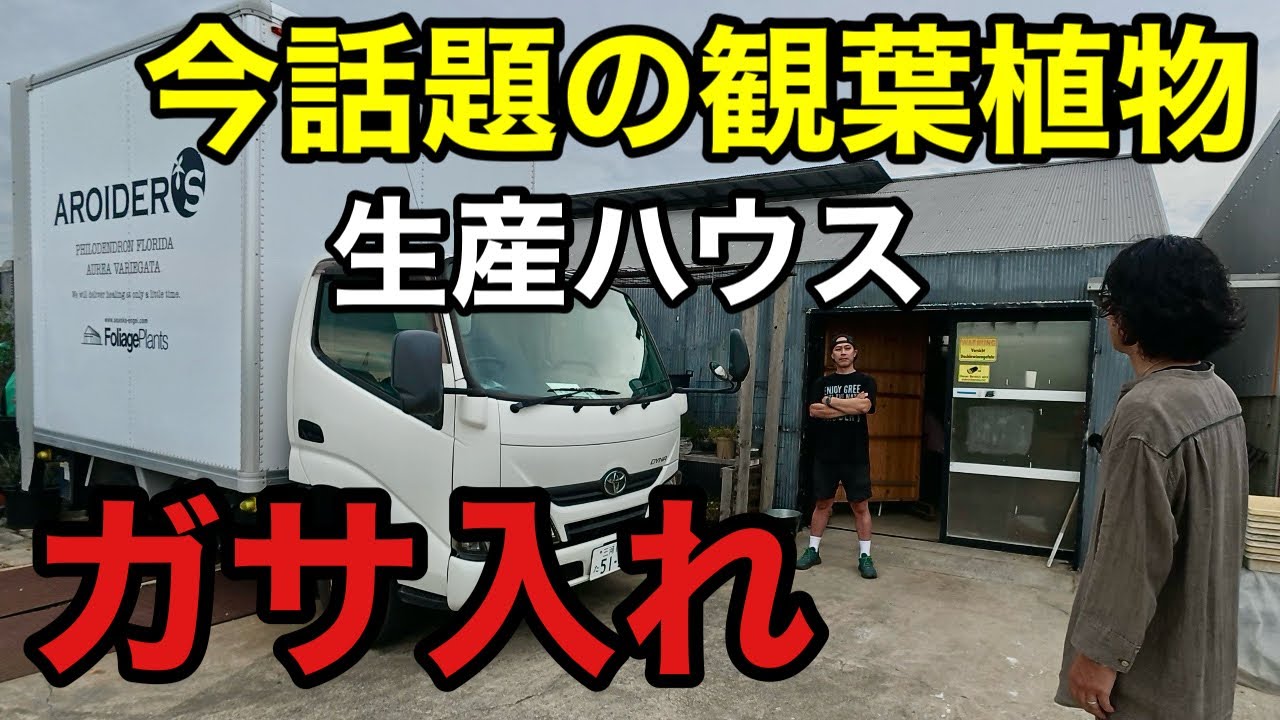 【これが真実】植物生産者の見てはいけないとんでもない裏側を見てしまった。。。　【園芸超人カーメン君】【浅岡園芸のポトス革命チャンネル】
