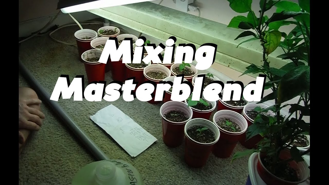 Mixing Up Some Masterblend: Super Hot Peppers