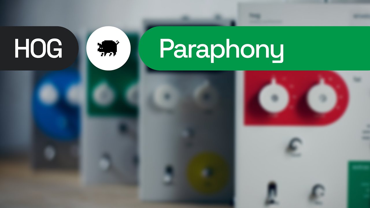 Hog by Shm&oslash;ergh &ndash; Fully analog synth &ndash; Features / Paraphony