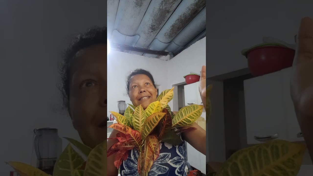 Amor pelas plantas, deixem os nomes no comentário. 