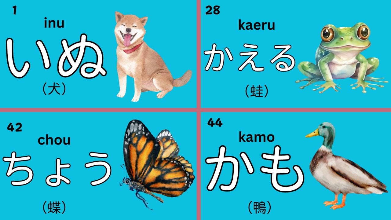 Japanese Vocabulary | 50 Hiragana Nouns About Animals