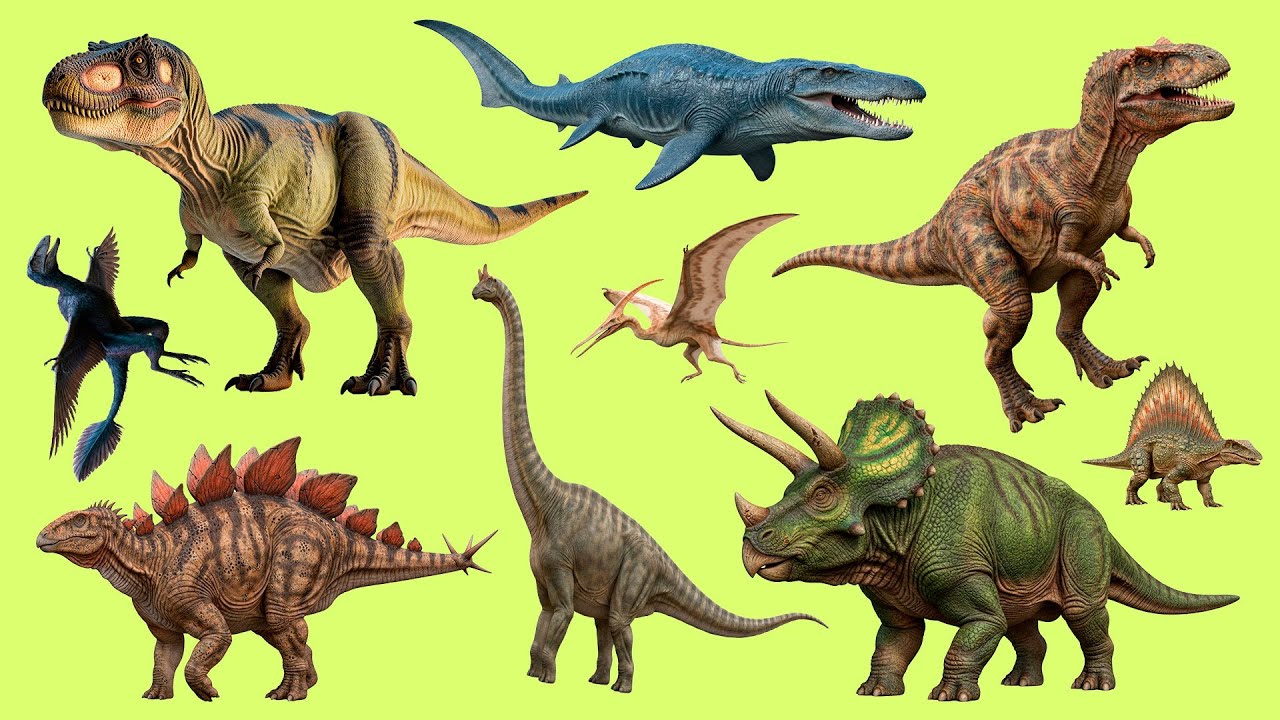 Learn 25 Dinosaur Names in English 🦖 | Listen and Repeat with Audio