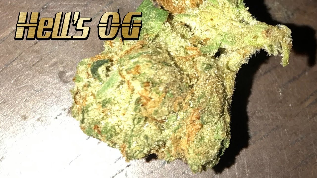Weed strains review HELL&rsquo;S OG
