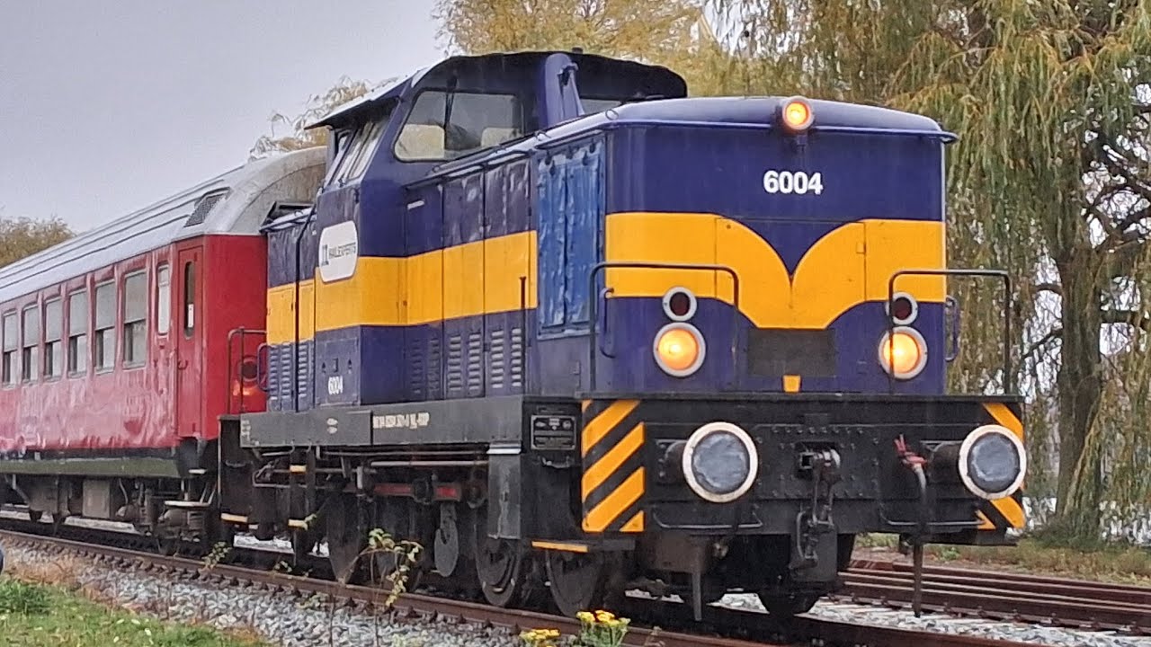 De Boog and Beyond van 1 november 2025