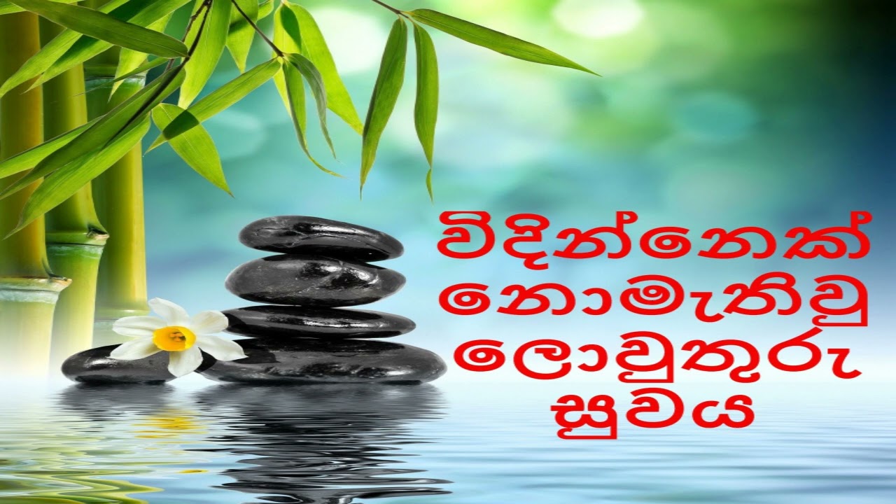 විදින්නෙක් නො‌මැතිවු ලො‌වුතුරු සුවය |  nirodaarana@gmail.com