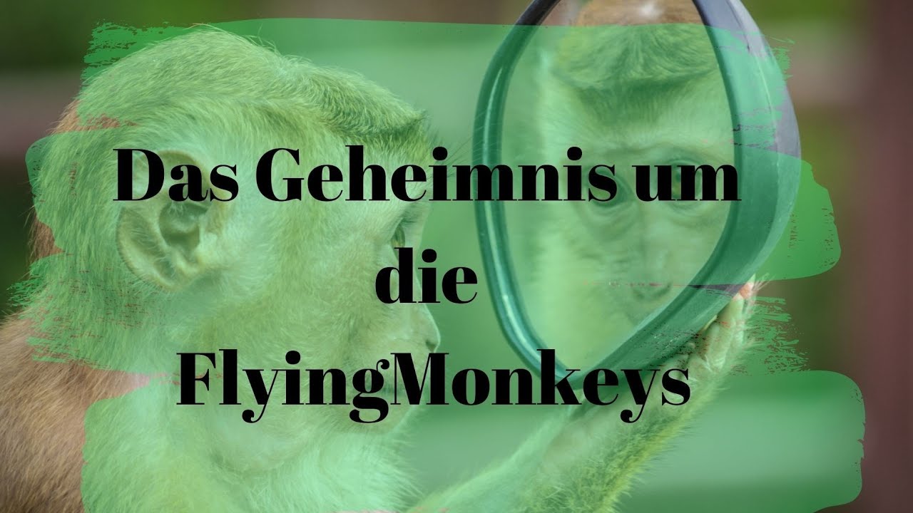 Das Geheimnis um die FlyingMonkeys