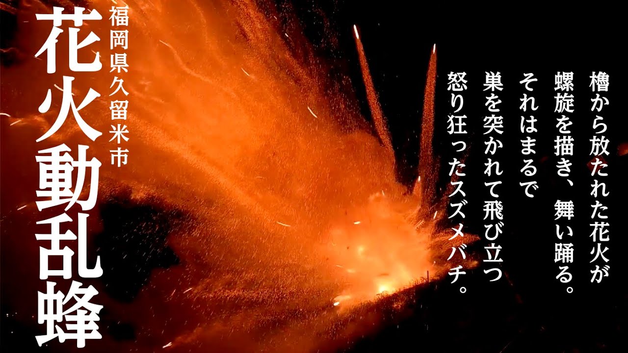 花火動乱蜂～閃光と刹那の祈り～