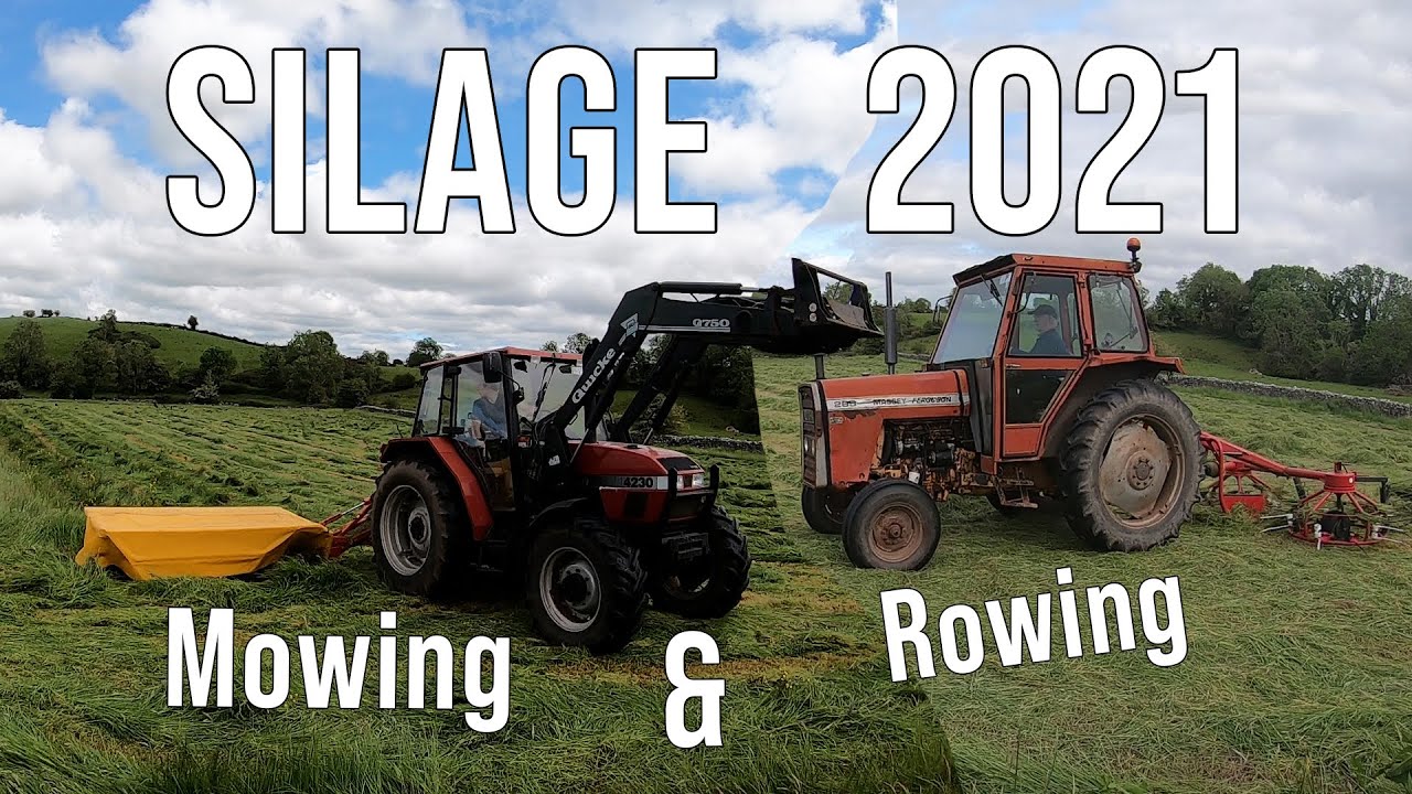 THAT'S NOT THE LAST YOU'LL SEE OF THE CASE! MOWING & ROWING for SILAGE with CASE 4230 and MF 265