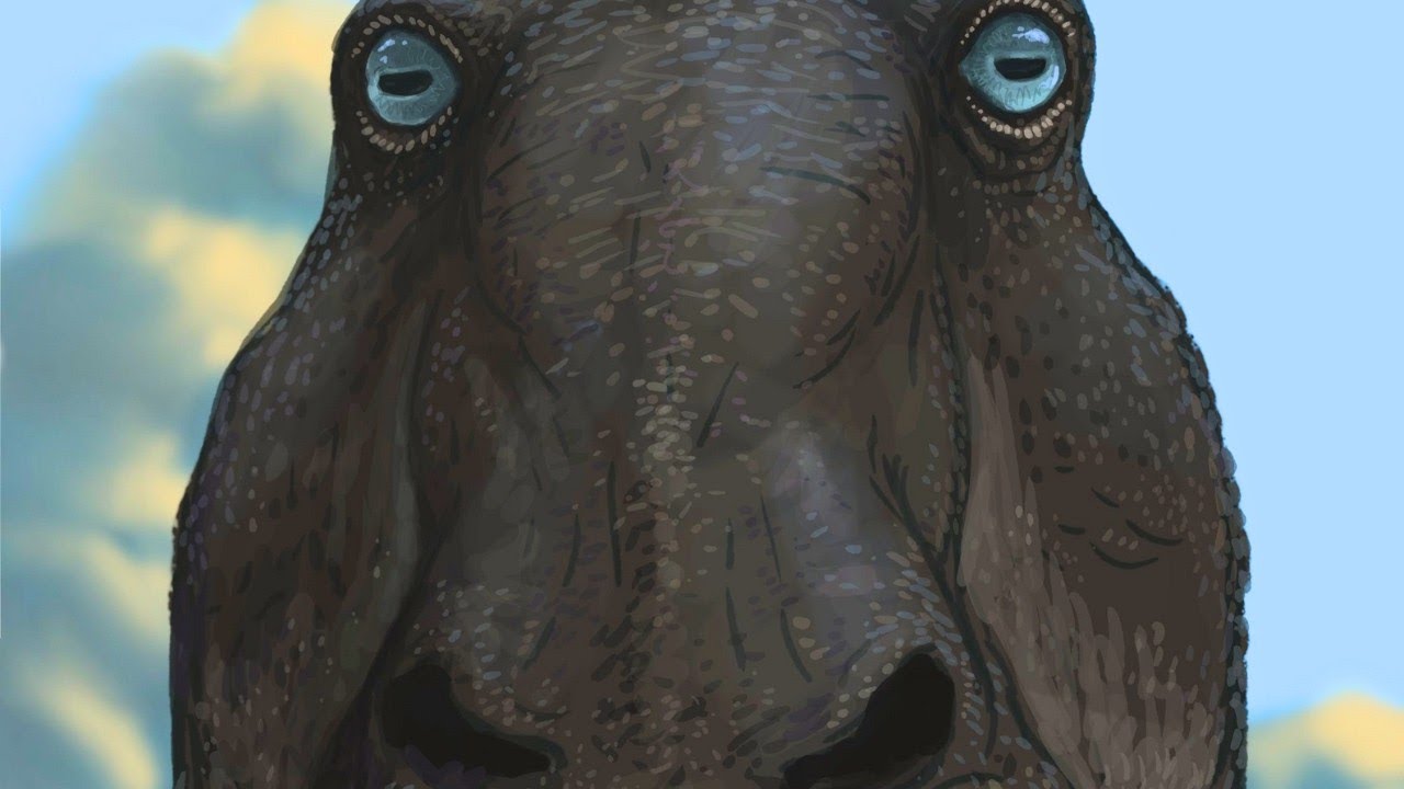Le Plus Grand Animal Bipède Ayant Arpenté La Terre