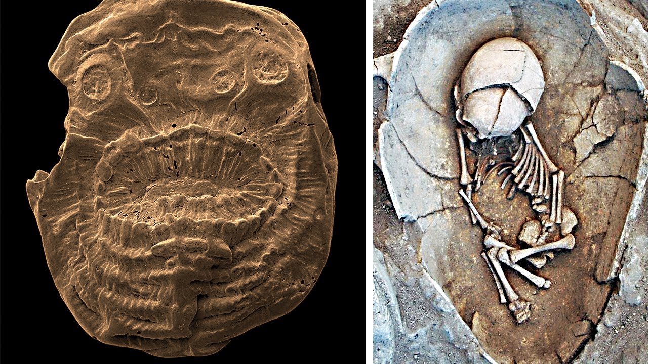 Unique Finds of Archaeologists Can Transform Your Mindset