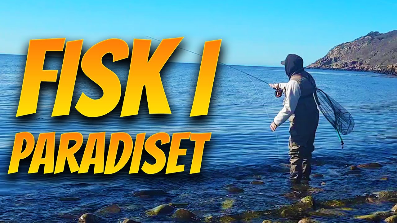 Äntligen Havsöring i Paradiset | Fiskelycka