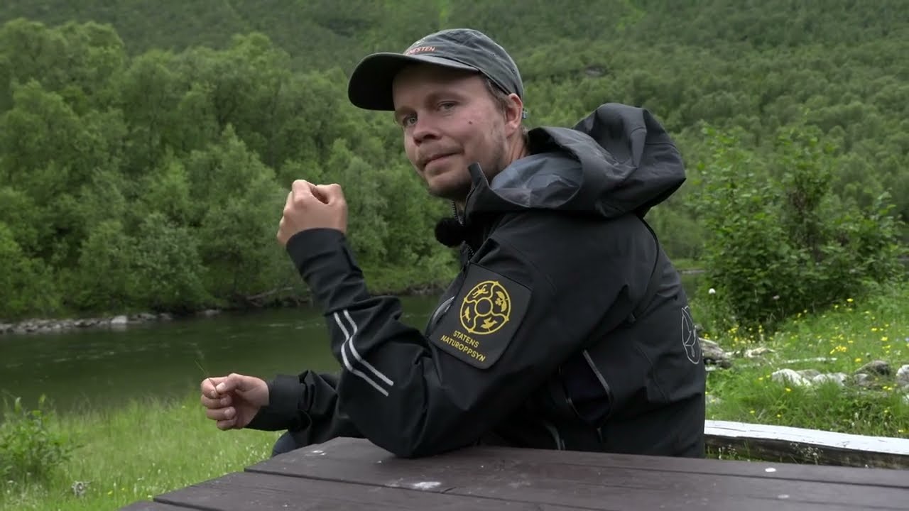 Oppsyn med båndtvang og fiskekort – og en skogbranns påvirkning på natur i Kongsberg