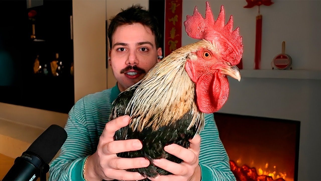 comprei esse galo e FOI A PIOR COISA QUE EU FIZ