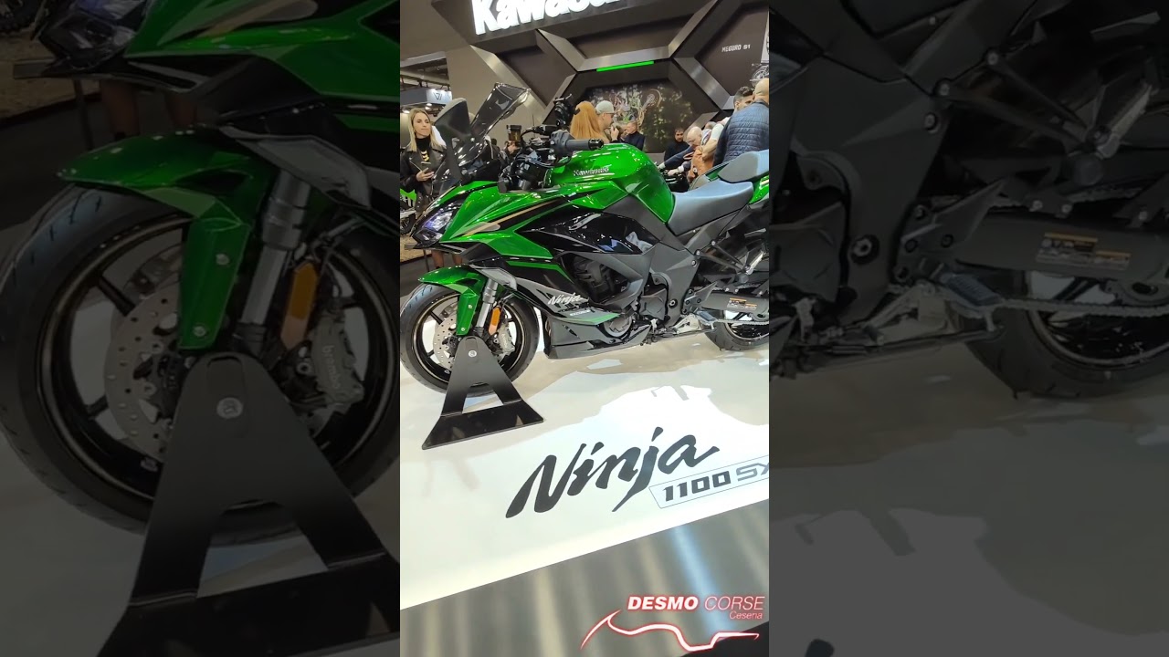 Kawasaki  Ninja 1100 SX  2025