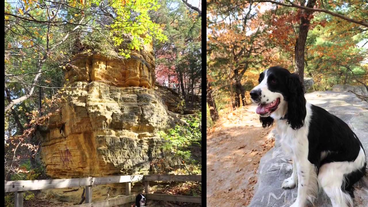 Starved Rock - Best Fall Hike in Illinois