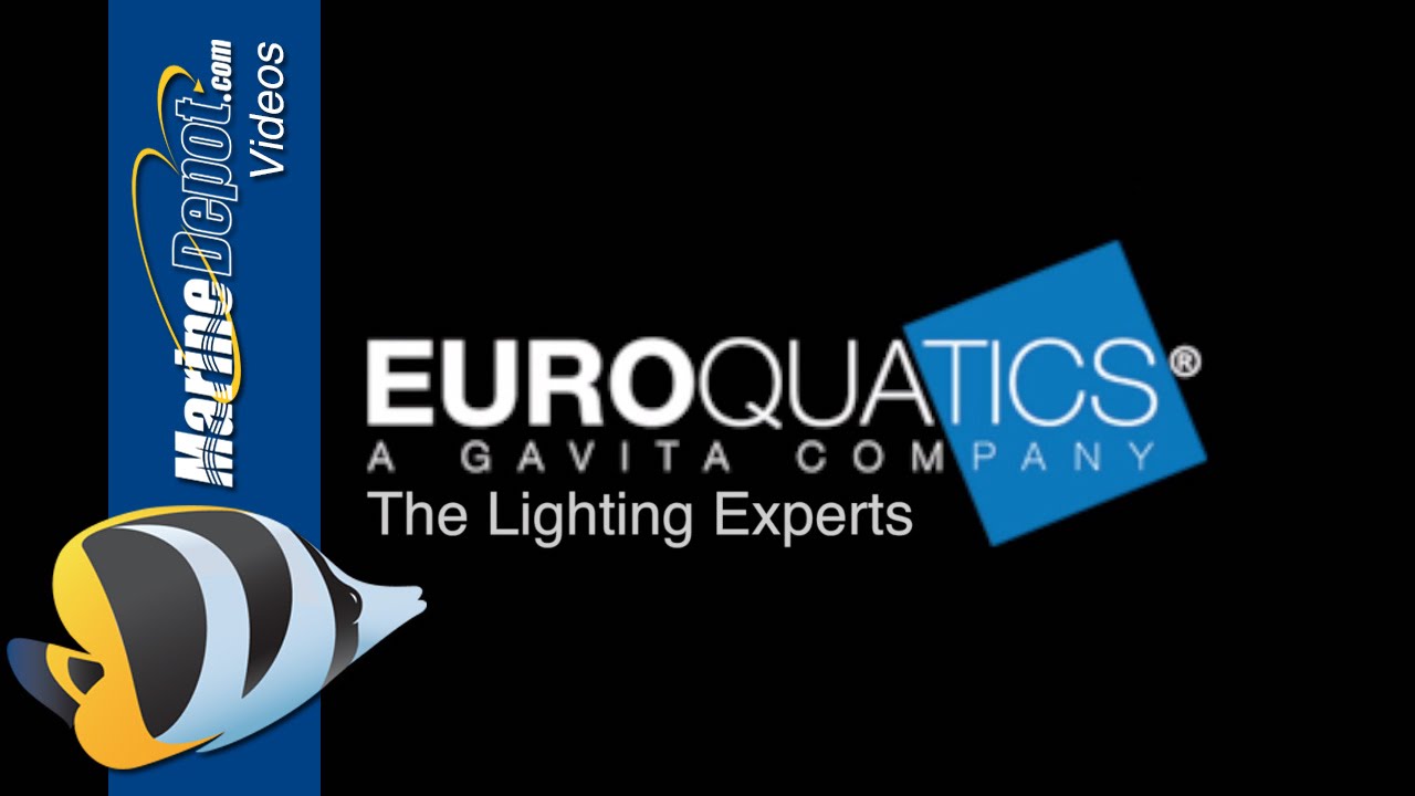 Euroquatics Angel LEDs - Advanced Features and Programming