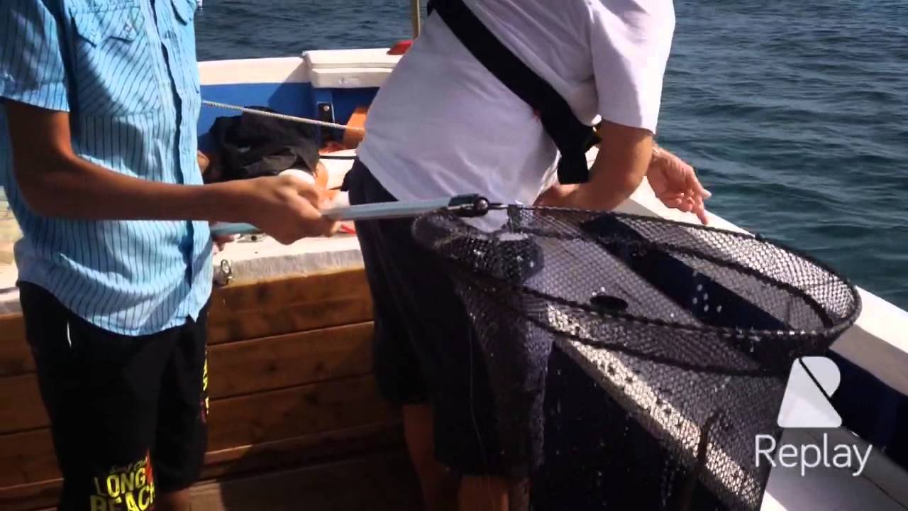 Octopus fishing near Culatra