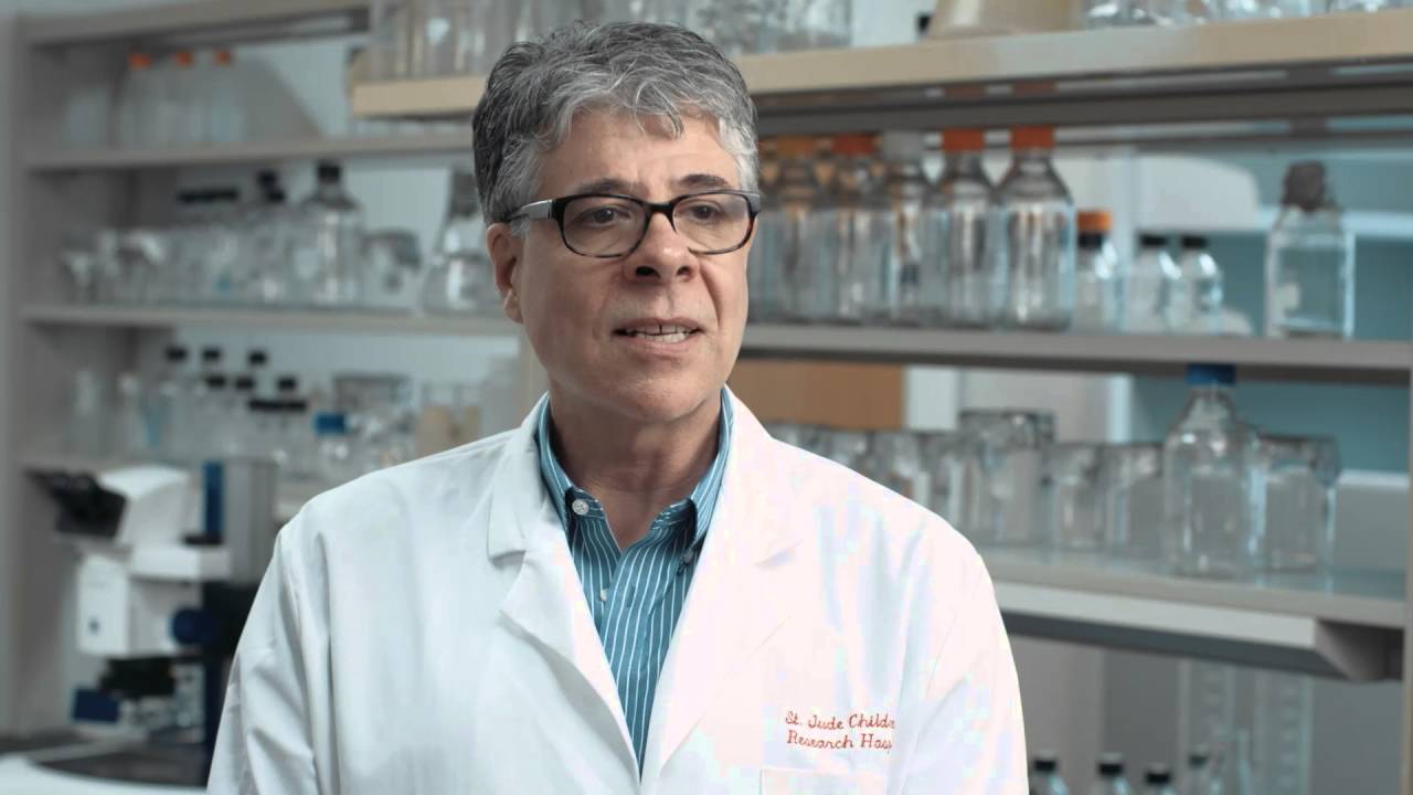 Gene therapy research for SCID treatment