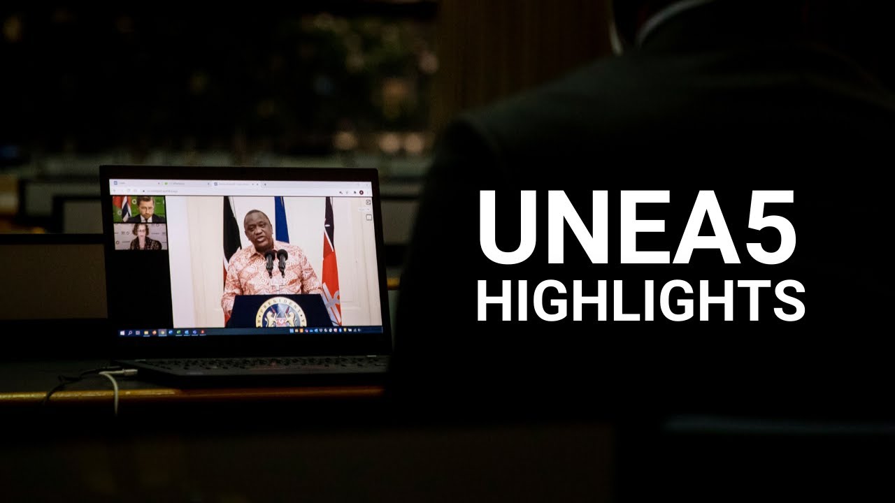 UN Environment Assembly 2021 Highlights