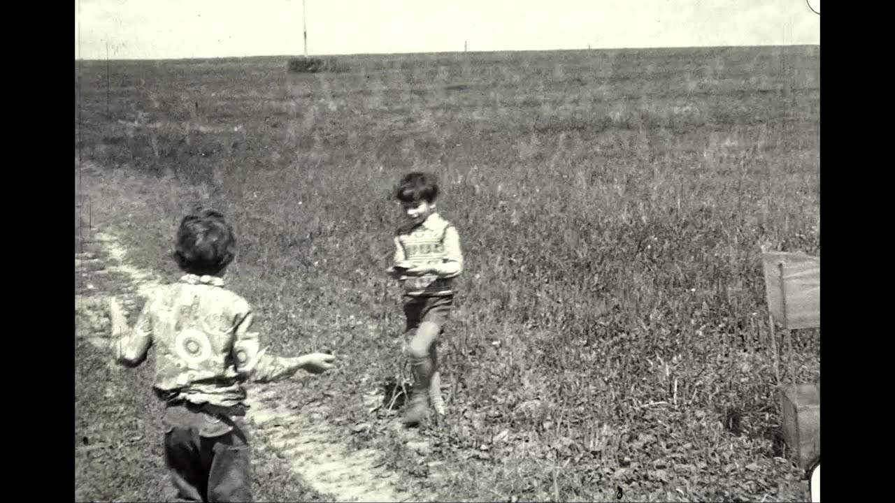 Дача, 1977 год