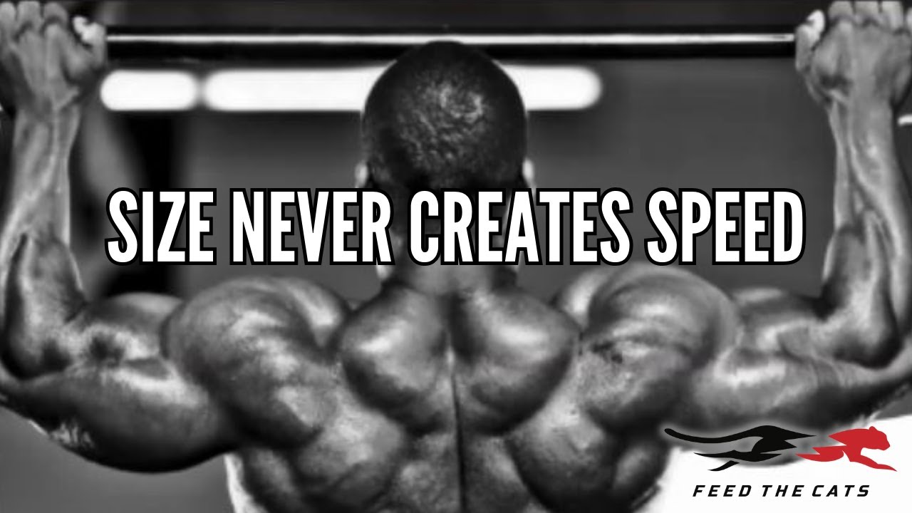 Feed the Cats Approach to Weight Room vs. Speed Training
