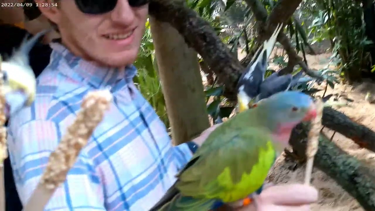 Brevard Zoo with Primus