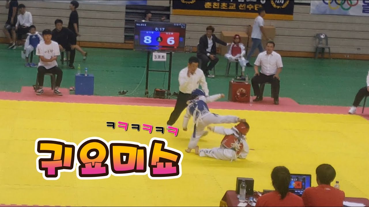 유치부🐣태권도🥋겨루기👊 이것은 시합인지 귀요미쇼인지ㅎㅎ🤪