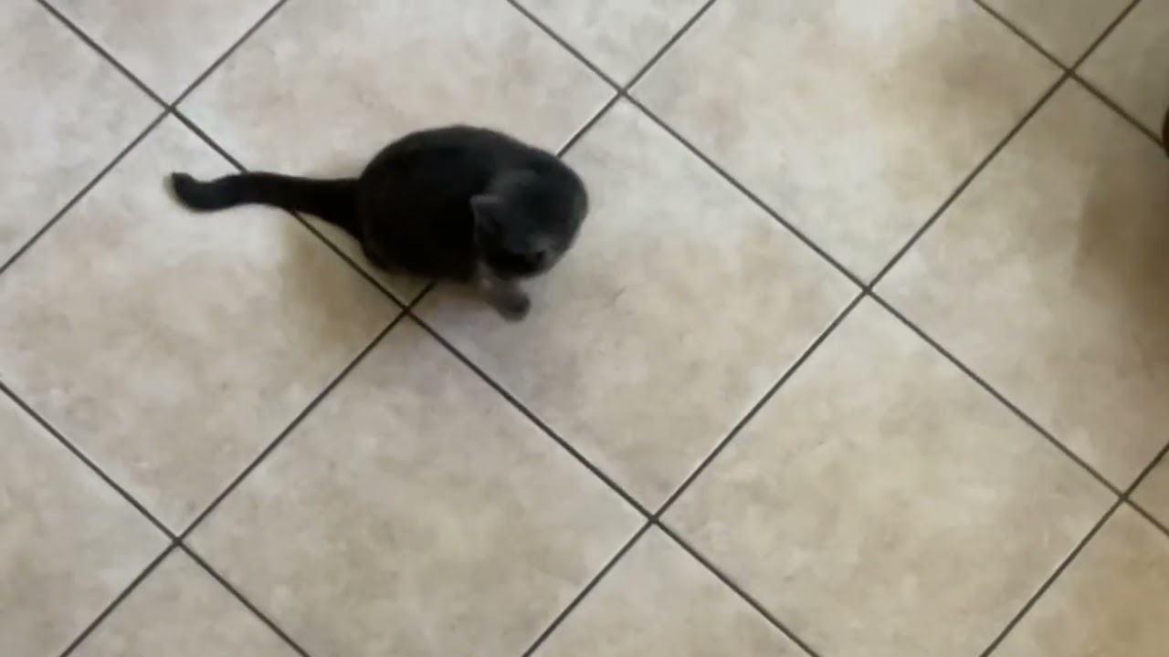 Hi Bubs