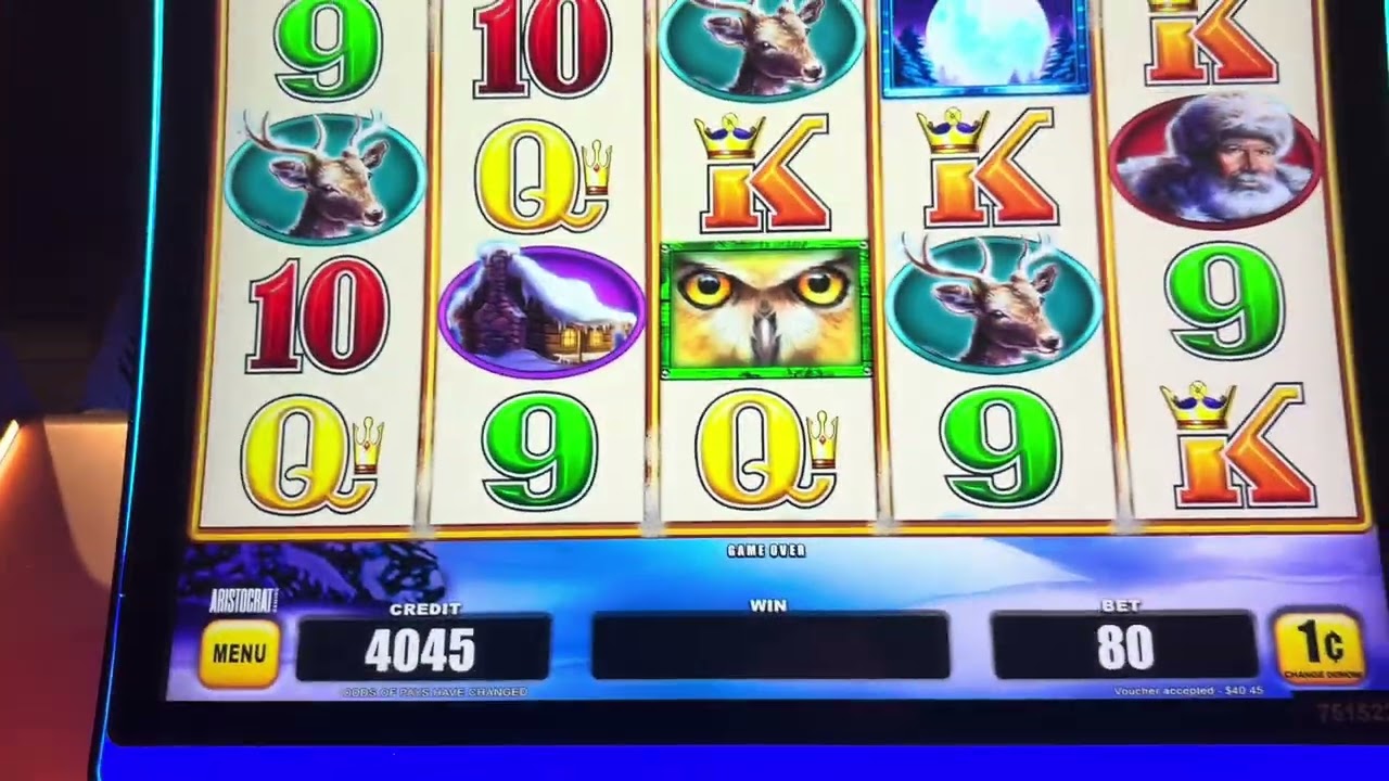 My day at the casino playing slots