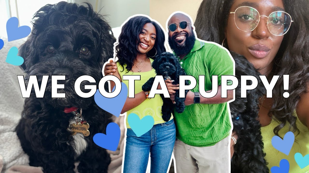 BRINGING HOME OUR NEW PUPPY 🐕‍🦺| FIRST 24 HOURS AS DOG PARENTS