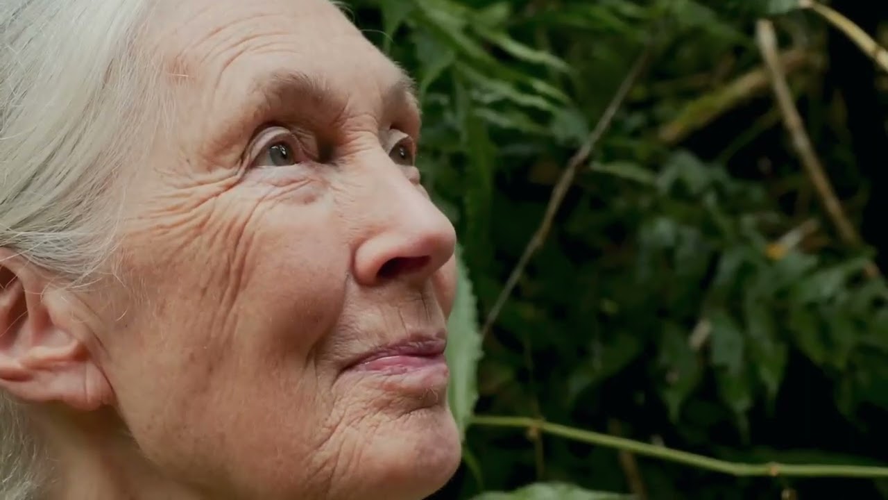 HOPE – Inspirational Song Celebrating the Life of Dr. Jane Goodall (Official Music Video)