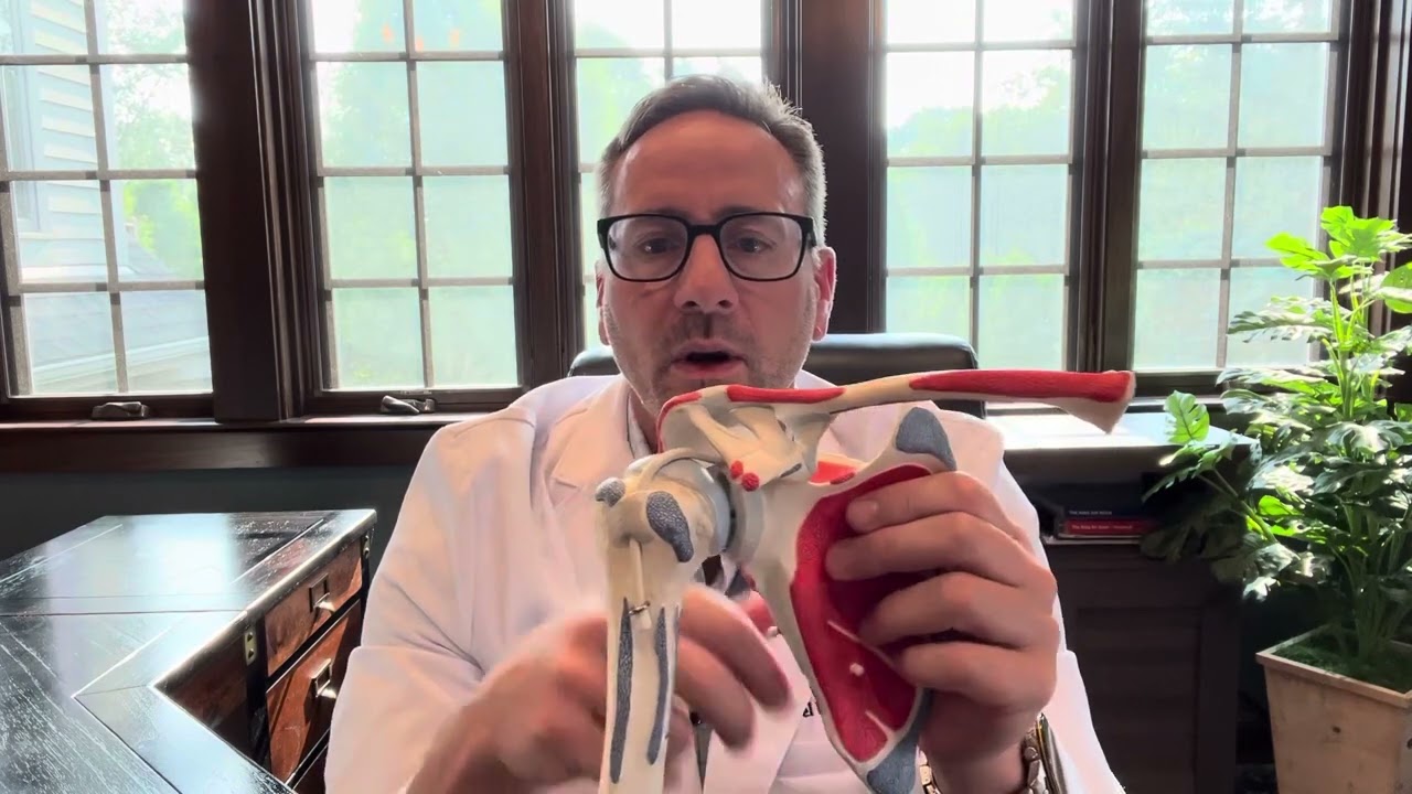 Biceps Tendon Injuries Explained - SLAP Tears, Tenodesis & Tenotomy | Dr. Drake at Level Up Shoulder
