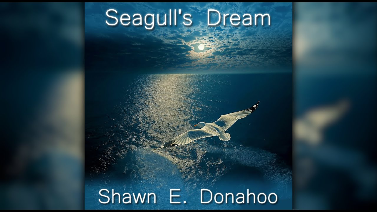 Seagull's Dream