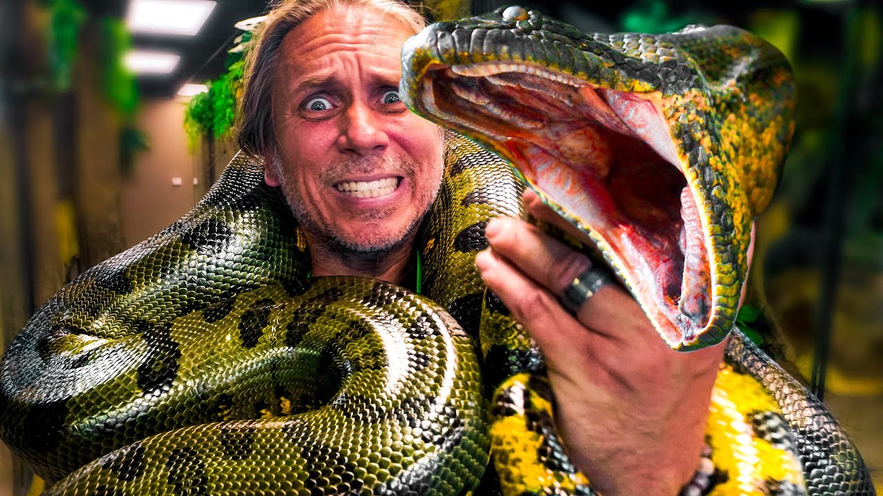 ANACONDA TRIES TO ATTACK ME!! | BRIAN BARCZYK