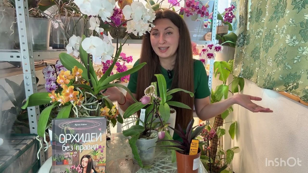 Ну это шедеврально ! Я КАЙФУЮ ОТ НИХ ! #орхидеи
