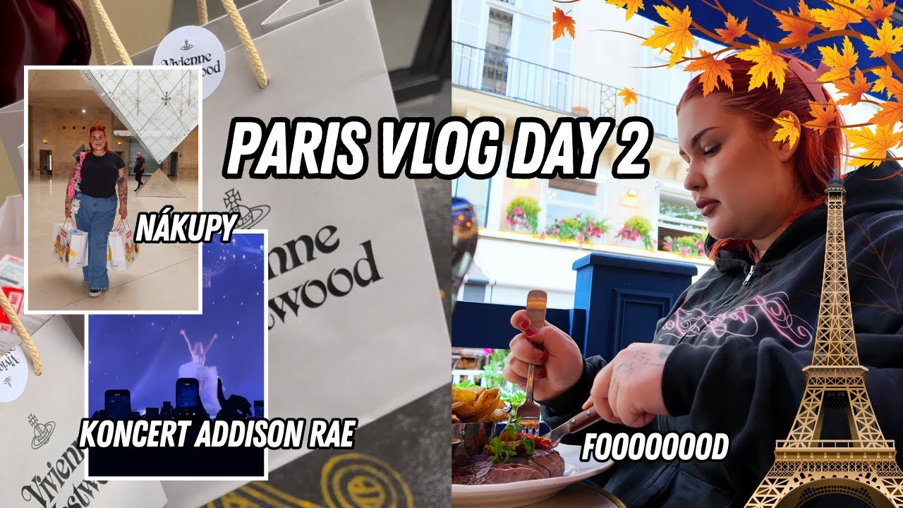 PARIS VLOG DAY 2 | obří nákupy & koncert Addison Rae | SugarDenny