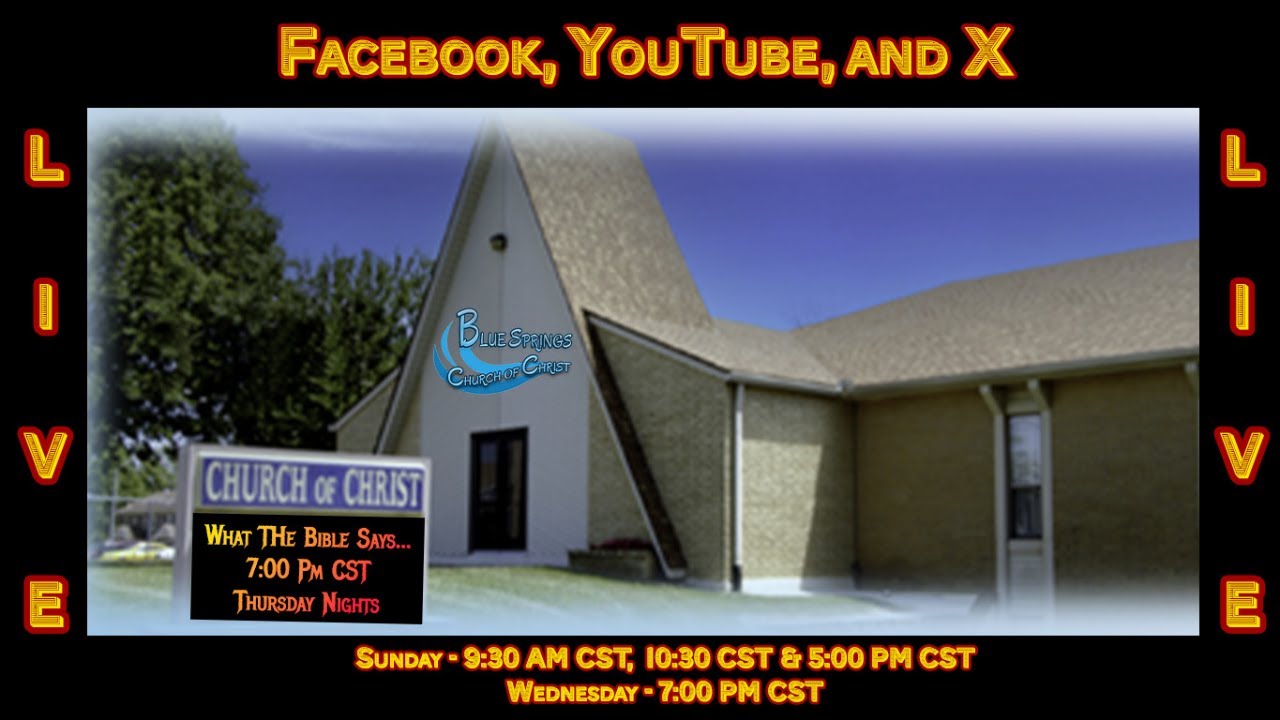 Blue Springs Live Stream