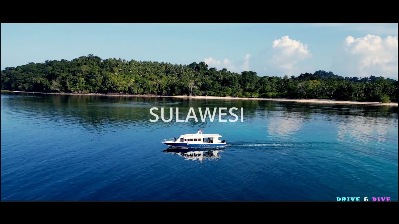 Hotelcheck: Bastianos Bangka Dive Resort – Tauchen im Norden von Sulawesi (2025)