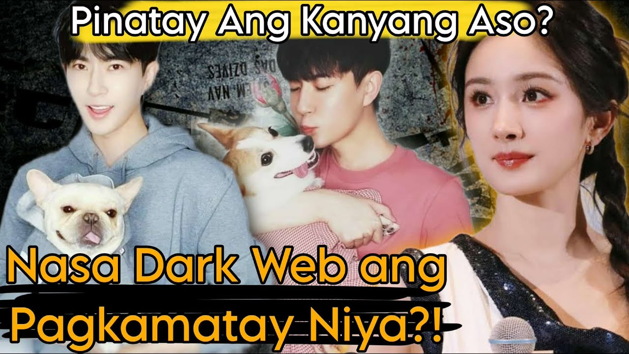 Pagkamatay ni Yu Menglong,Live sa Dark Web?!  At Malungkot na Kapalaran ng 2 Aso!