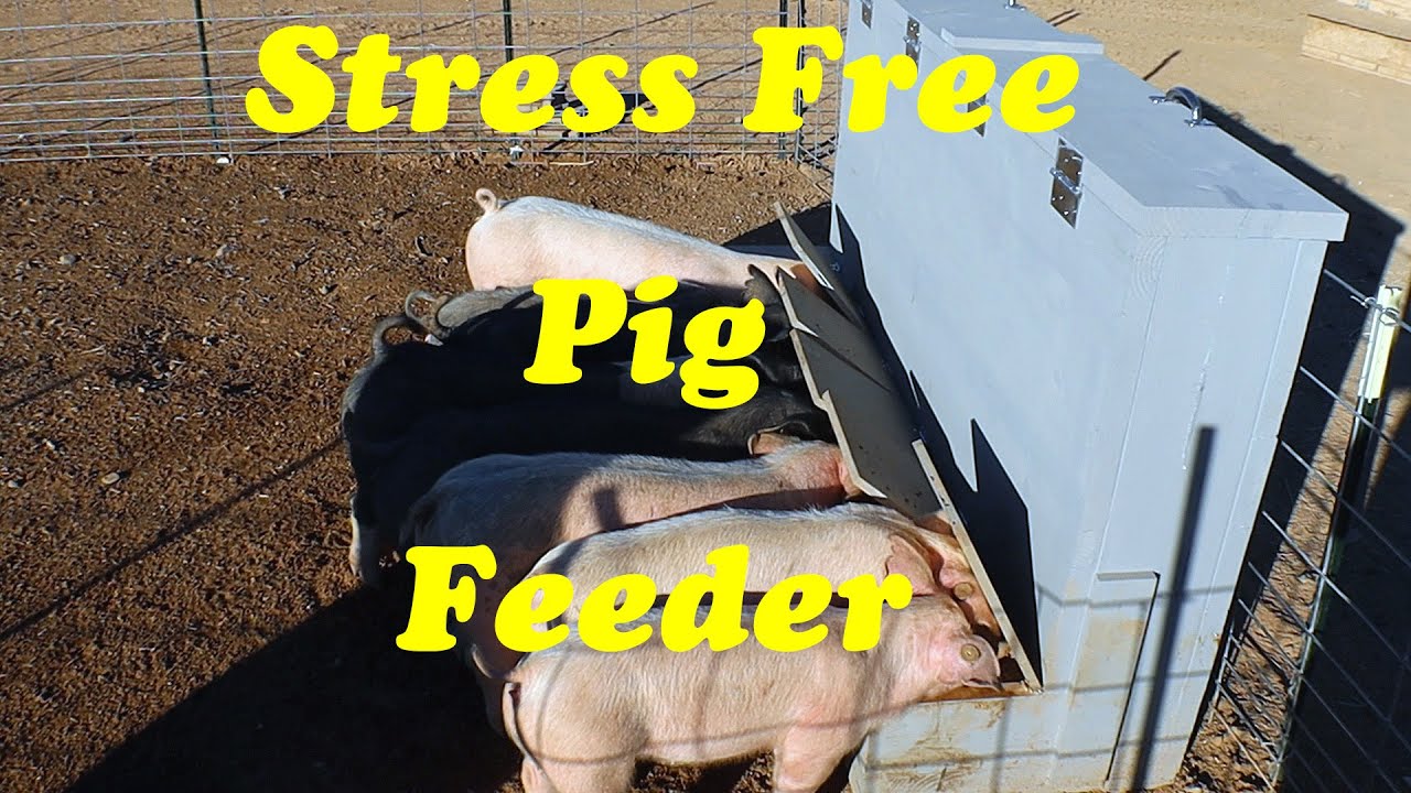 Automatic Pig Feeder Build | 400lb Capacity Hog Feeder