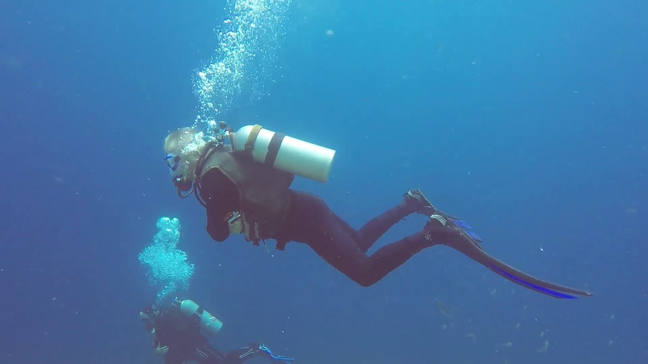 Dive Buddies