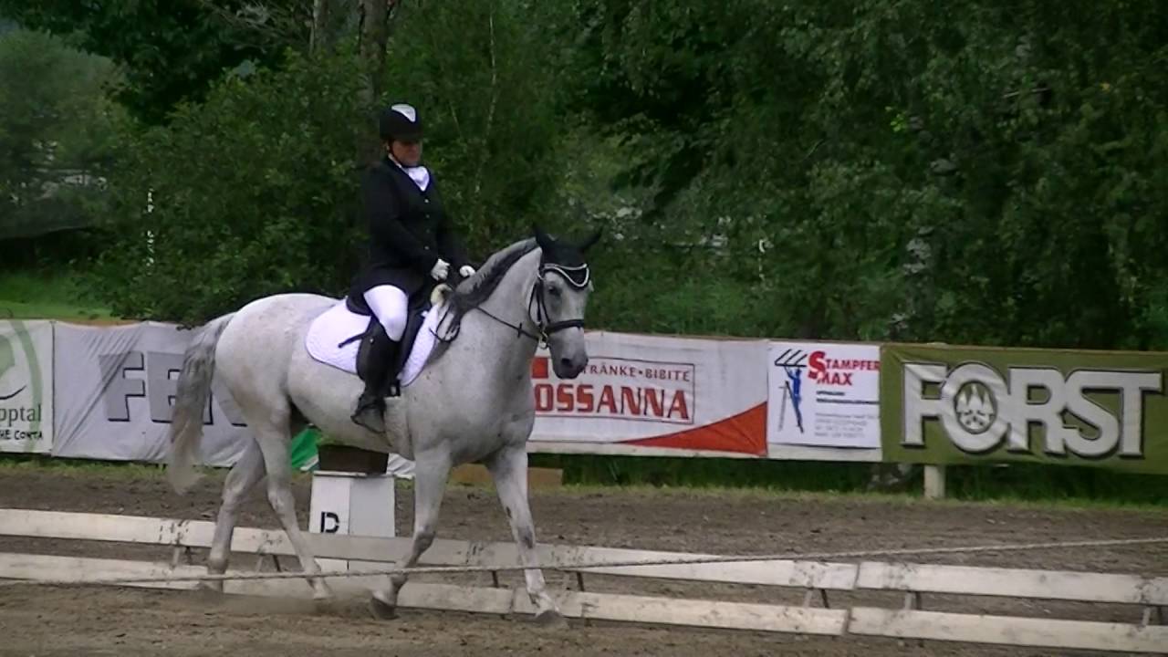 Dressage F 300