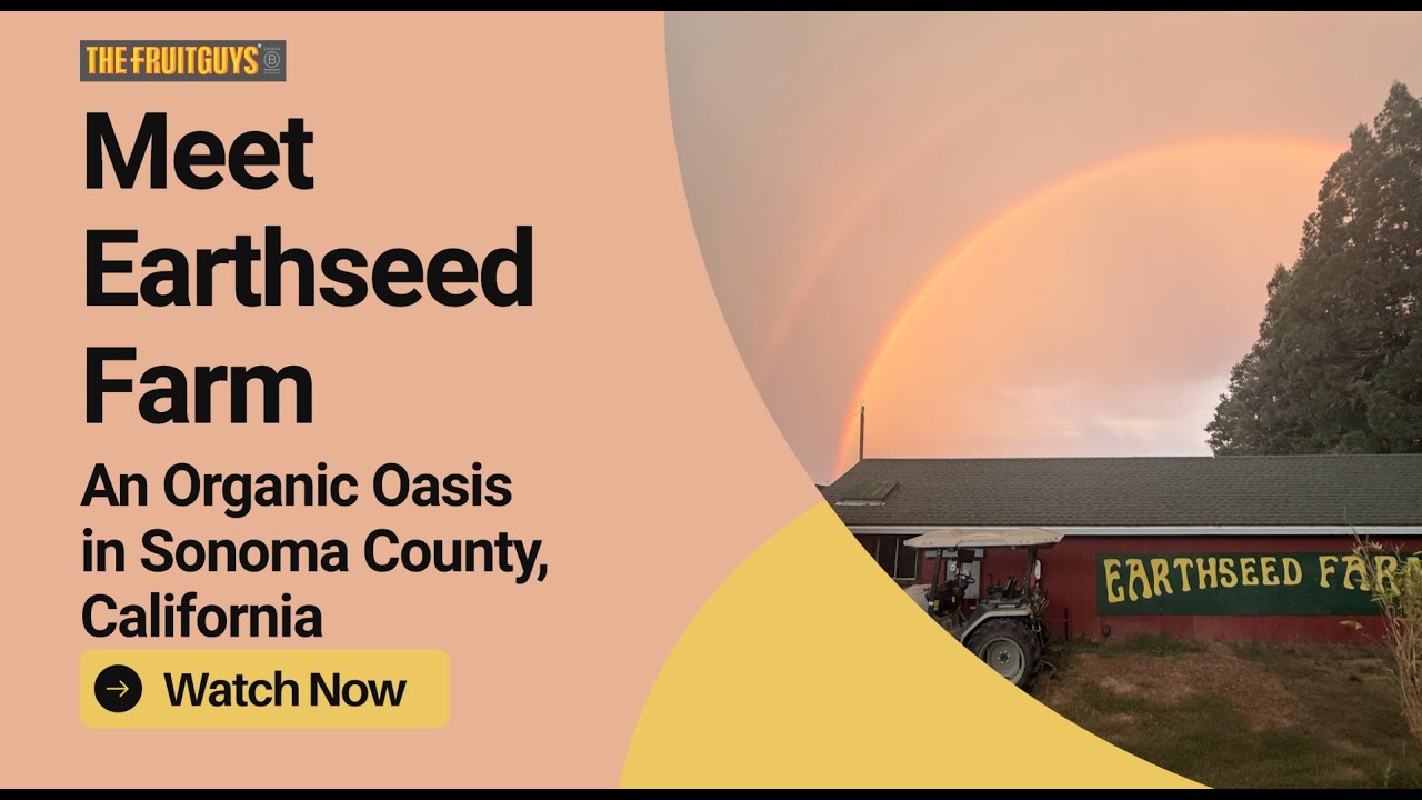 Meet Earthseed Farm: An Organic Oasis in Sonoma County, California