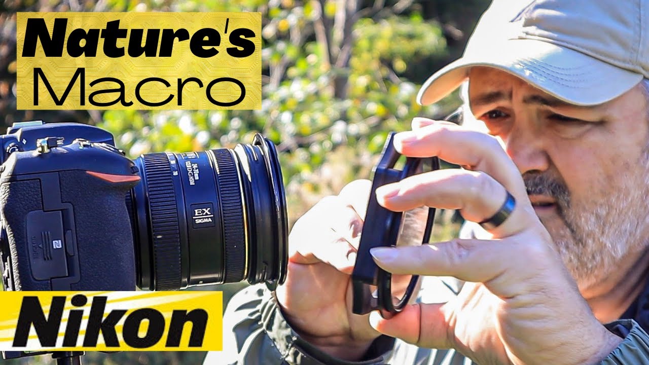 The Intricate Beauty of Nature's Macro - Landscape Photography with Nikon D500