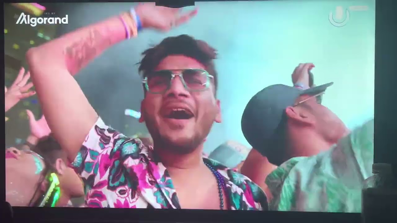 HARDWELL - Untitled Linkin Park - Crawling - Remix - Ultra Music Festival Miami 2022