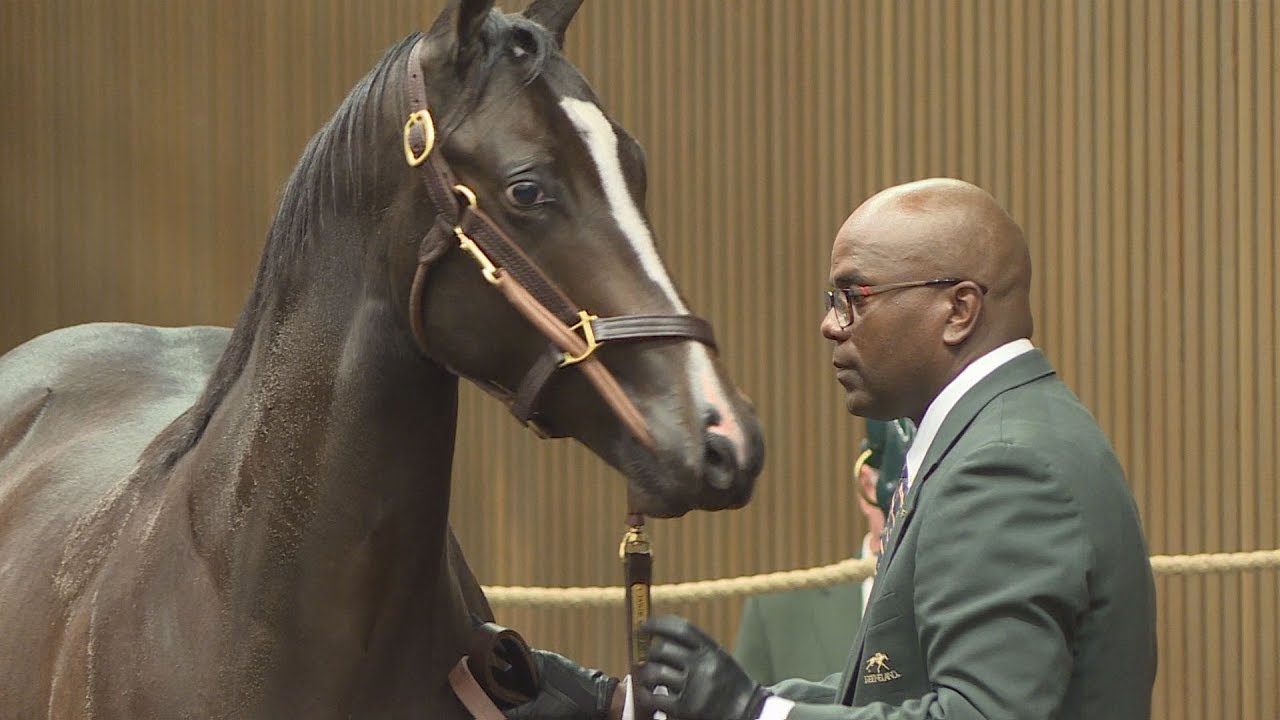 September horse sale at Keeneland fascinating for visitors