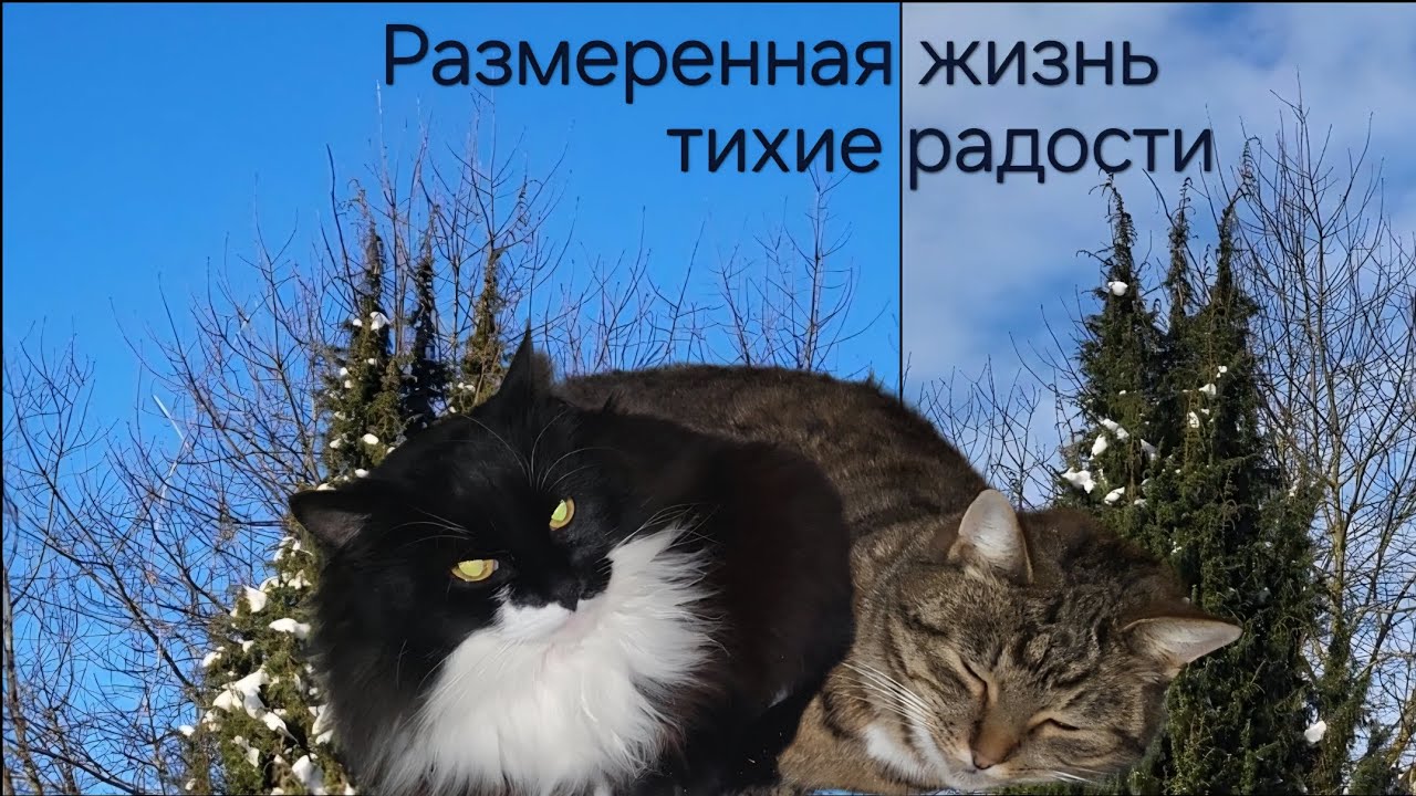 Тихие радости приносящие покой_Размеренная жизнь учит ценить многое /Деревня Айла/ОДНА В ДЕРЕВНЕ