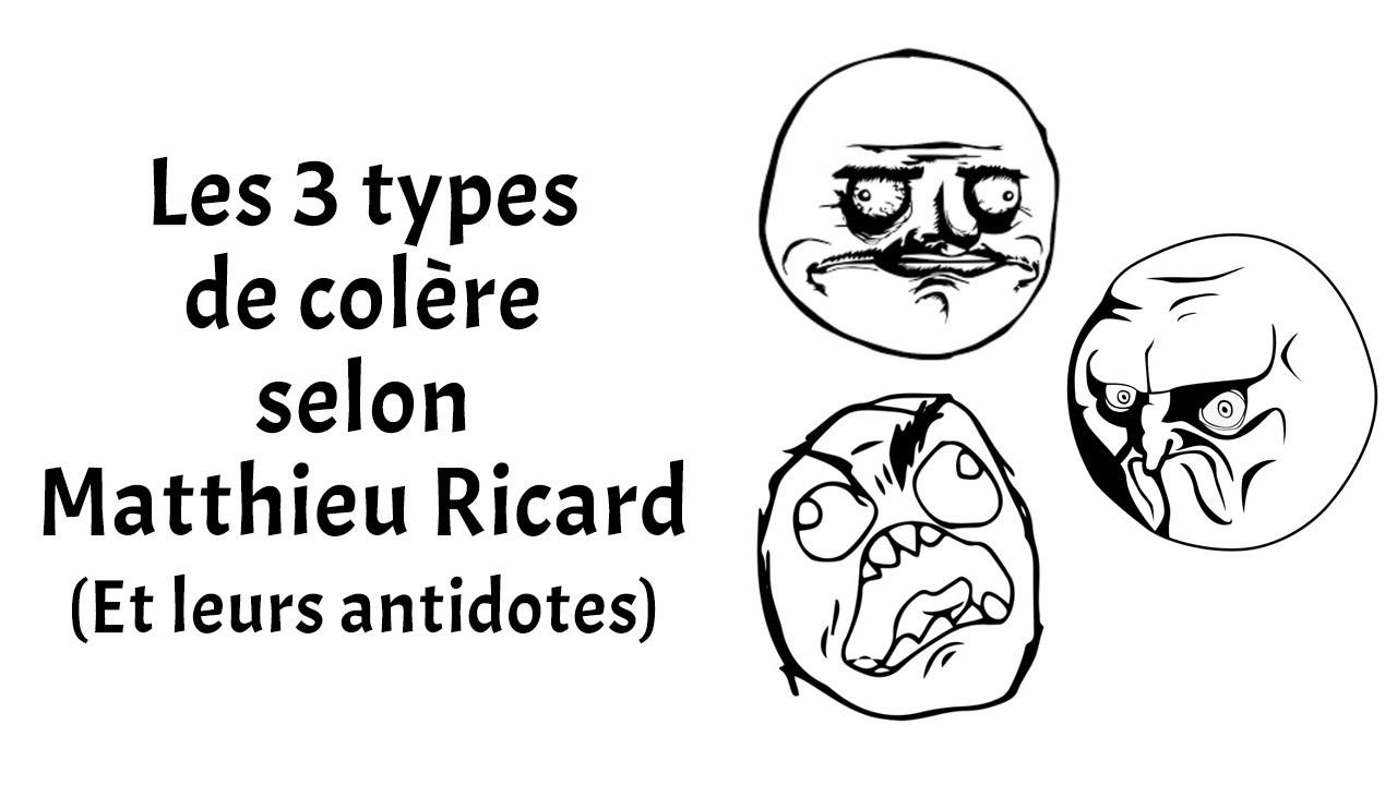 Les 3 types de col&egrave;re selon Matthieu Ricard : L'indignation, la frustration, l'agressivit&eacute;.