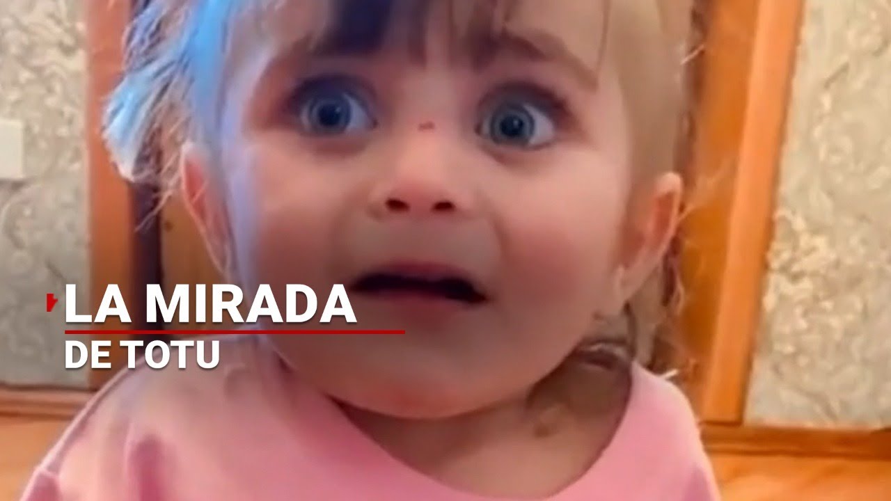 Los ojos de Totu | La mirada de una luchadora que vive en un refugio